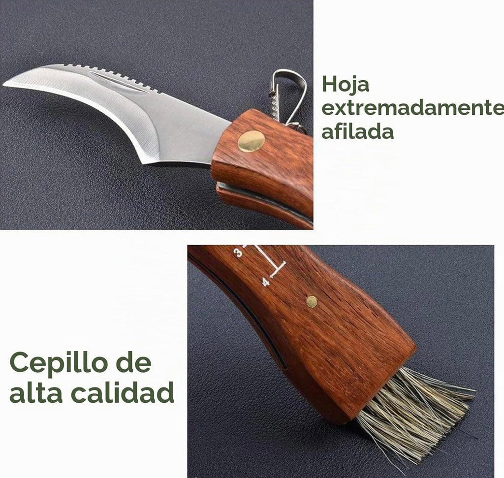 Kit De Recolección De Setas
