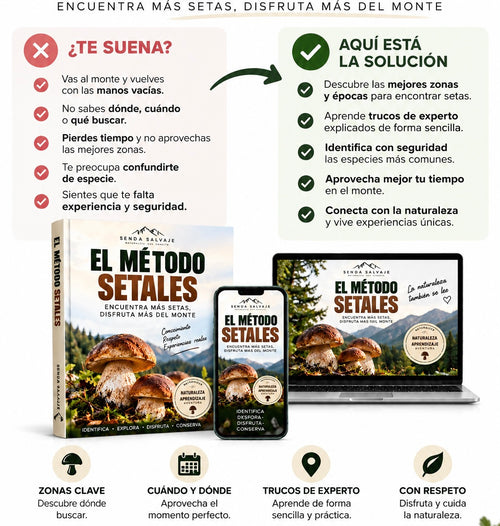 Método Para Encontrar Setales - Senda Salvaje™