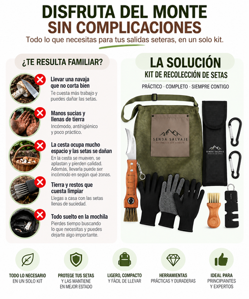 Kit De Recolección De Setas