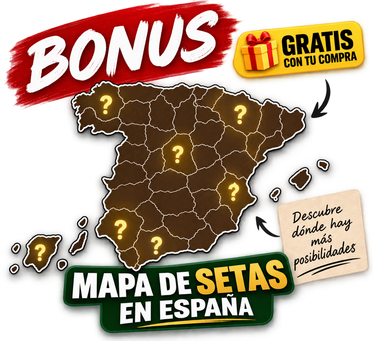 Mapa De Setas En España